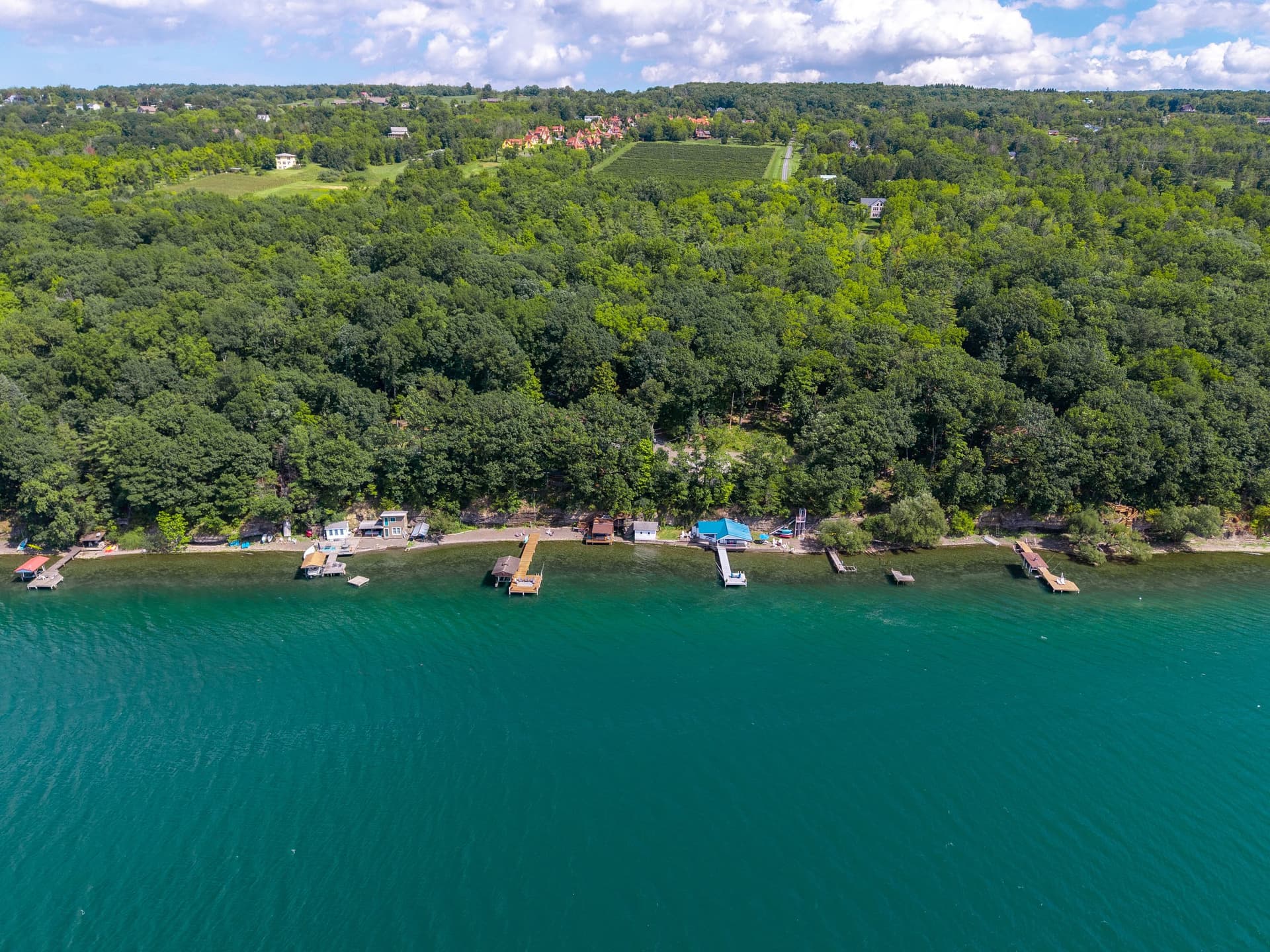 The shoreline from the air with cultivated vineyard rows and farm buildings visible on the ridge above the treeline, and green lake water across the foreground.